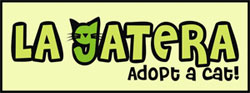 La Gatera - adopt a cat