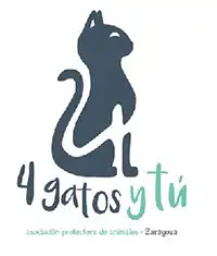 4 Gatos y tú