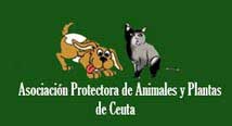 Asociación Protectora de Animales de Ceuta