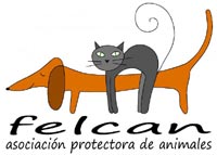 Logo de FELCAN