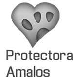 Logo de Protectora Amalos
