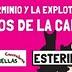Logoo de MANIFESTACION POR LA VIDA DE LOS GATOS CALLEJEROS -13 de marzo-11h en Bilbao